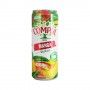 Nectar compal classico 0,33l manga Nectar compal classico 0,33l manga