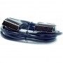 Cabo scart astrell m/m -011911 Cabo scart astrell m/m -011911